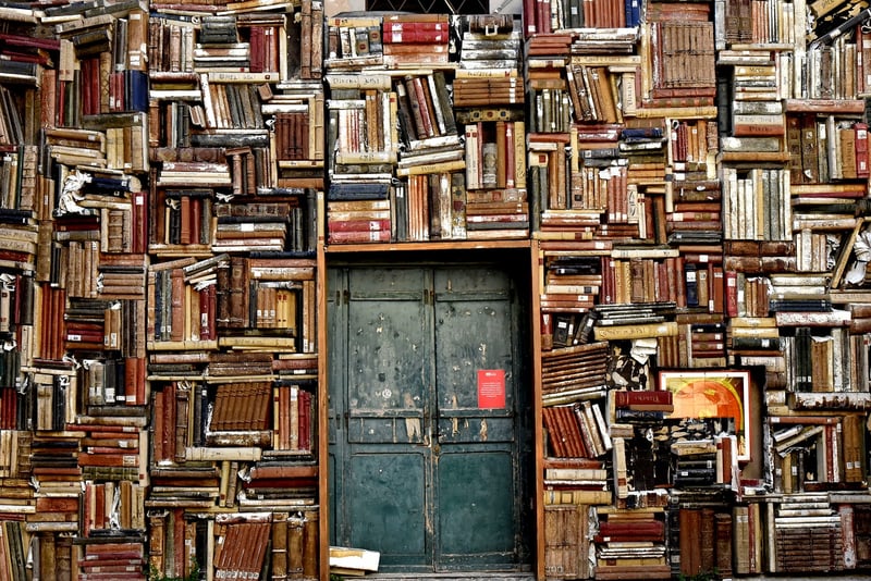 Book Lover's Delight